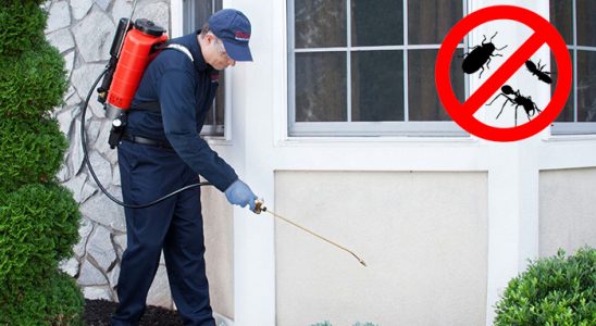 Villakent Gümüşkurt İlaçlama böcek ilaçlama ve haşere kontrolü — ilaclama-tr.com